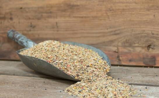 Wybór odpowiedniej technologii suszenia dla różnych typów zbóż