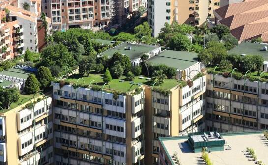 Systemy dachów zielonych: jak poprawiają jakość życia w miastach?