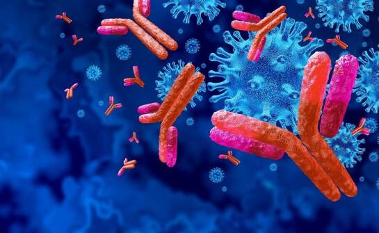 Przeciwciała do cytometrii przepływowej: kluczowe aspekty wyboru dla laboratoriów naukowych