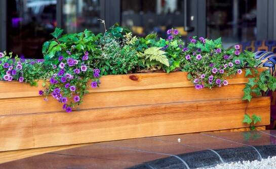 Zalety wyboru skrzynek balkonowych 50 cm dla małych przestrzeni