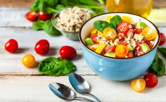 Dlaczego karma folk jest polecana przez dietetyków dla psów różnych ras?