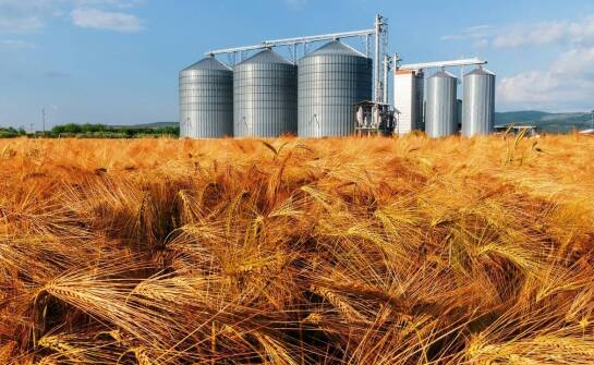 Jak projektowanie hal zbożowych wpływa na ich funkcjonalność?