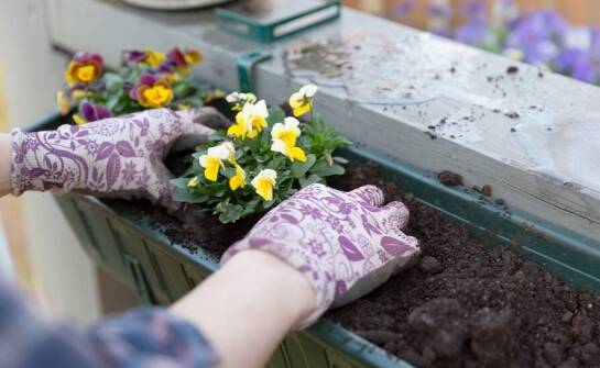 Skrzynki balkonowe 80 cm: praktyczne wskazówki dotyczące montażu