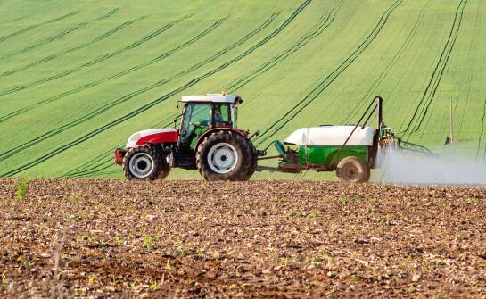 Jak poprawnie dobrać nawozy do uprawy nasion zbóż w lokalnych warunkach?
