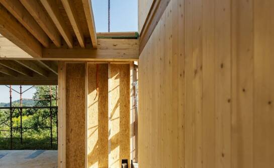 Rola drewna jako materiału odnawialnego w budownictwie pasywnym