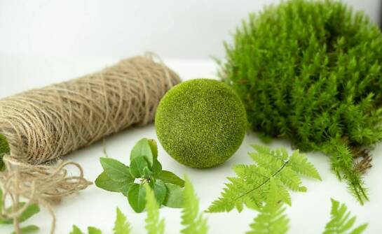 Jakie innowacyjne akcesoria mogą uatrakcyjnić wystrój Twojego terrarium?