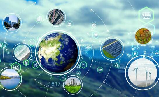 Rola firm specjalizujących się w wywozie elektroodpadów w gospodarce obiegu zamkniętego