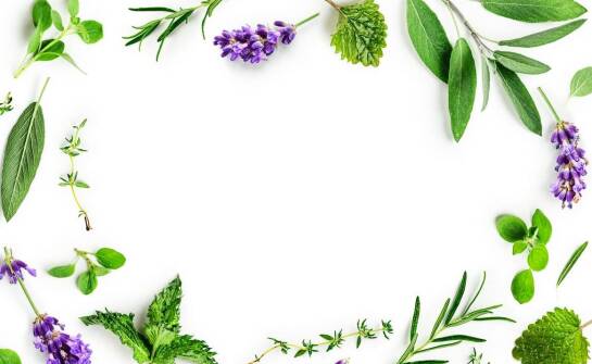 Dlaczego warto stosować Artrin XXL krem ziołowy na co dzień?