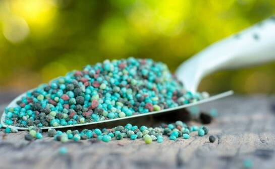 Wybór nawozów organicznych: jakie korzyści płyną z ich stosowania?