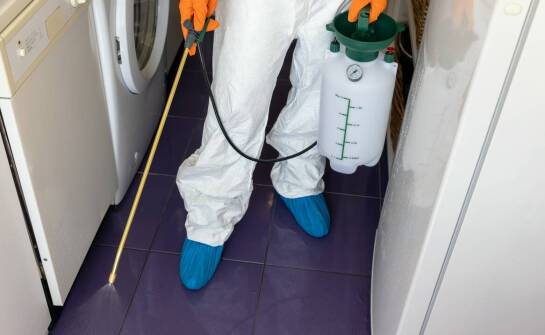 Jakie metody dezynsekcji są najskuteczniejsze w walce z karaluchami?