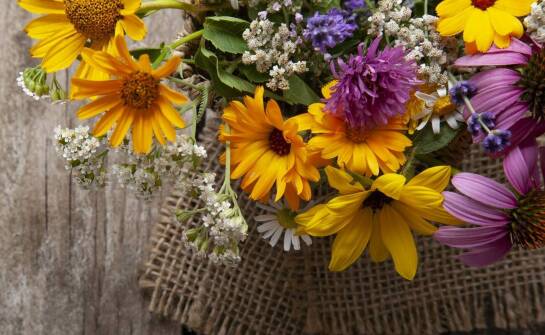 Ziołolecznictwo w leczeniu endometriozy: Naturalne metody wspierające zdrowie