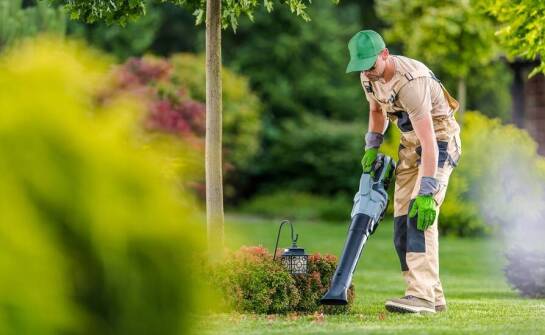 Jak efektywnie planować usługi sprzątania terenów zielonych?