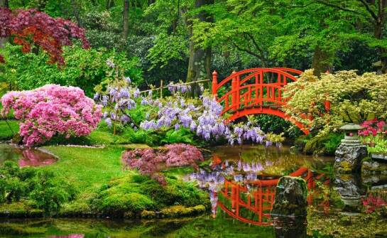 Jak fontanna do stawu może wzbogacić estetykę ogrodu?