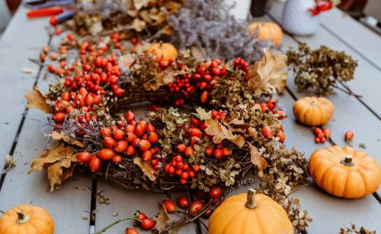 Wybór odpowiednich kas fiskalnych dla działalności sezonowej