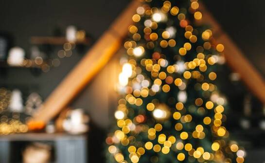 Jakie gatunki choinek sztucznych oferuje producent dekoracji świątecznych?