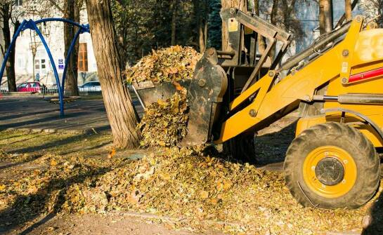 Dlaczego warto skorzystać z usług profesjonalnych firm wywozowych?