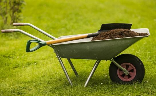 Jakie są korzyści z kompostowania odpadów zielonych przy wynajmie kontenera?