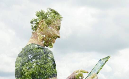 Znaczenie audytów środowiskowych dla monitorowania zgodności z normami