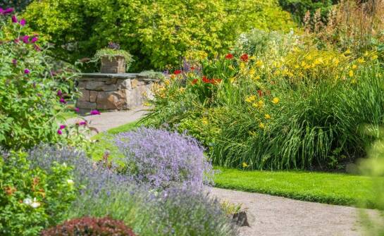 Kreatywne sposoby na wykorzystanie obelisków do róż w małych ogrodach