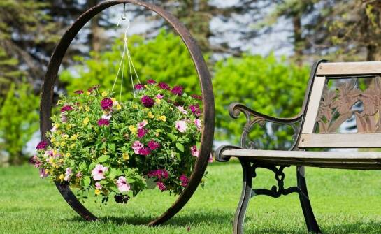 Wybór idealnej metalowej podpory do pnączy: Porady ekspertów