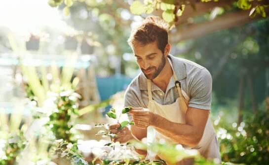 Jak silvoterapia wspiera zdrowie psychiczne seniorów?