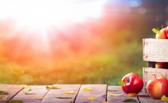 Jabłko Gloster a zmieniające się preferencje konsumentów