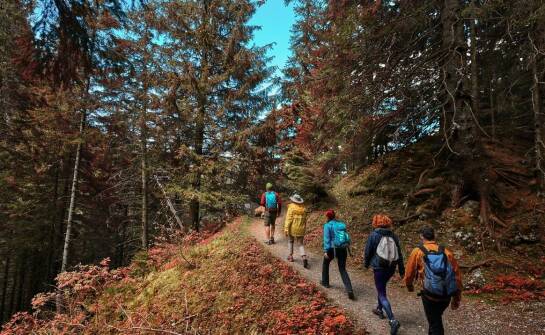 Zielona Szkoła na Podkarpaciu: Przygodowe wycieczki dla uczniów
