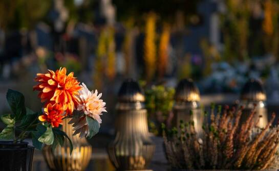 Wzory inspirowane naturą w projektach nagrobków – co oferuje rynek?