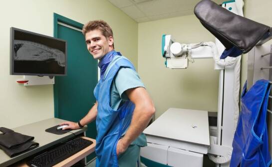 Rola weterynarza w opiece nad zwierzętami z problemami ortopedycznymi