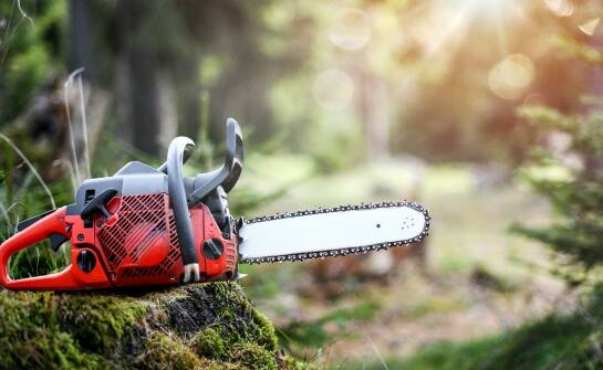 Kluczowe funkcje piły na wysięgniku w pielęgnacji ogrodu.