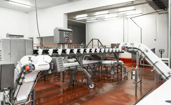 Automatyzacja procesu ważenia dzięki zaawansowanym wagowym dozownikom