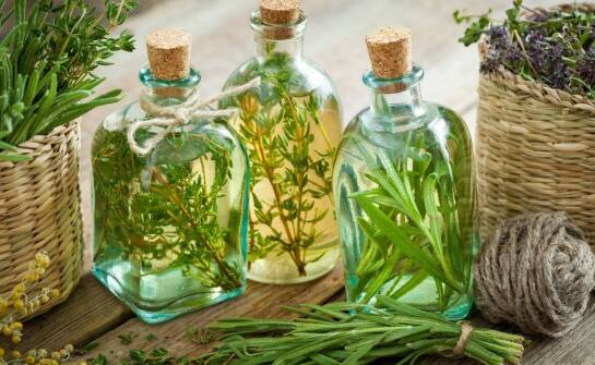 Naturalne konserwanty w leśnych przetworach - co je wyróżnia?