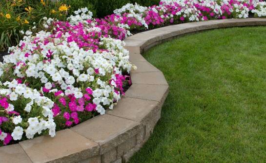 Jak palisada Rondo może zwiększyć estetyczną wartość posesji?