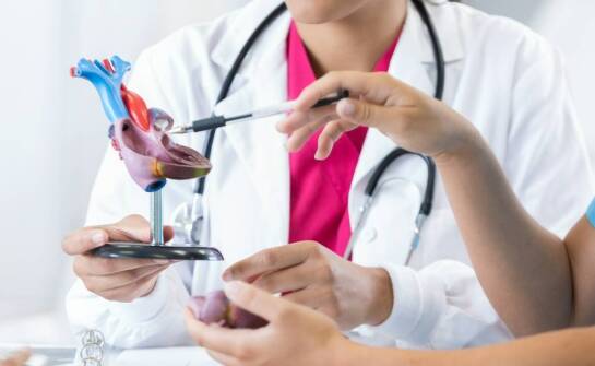 Wykorzystanie technologii druku 3D w medycynie: przyszłość anatomicznych modeli