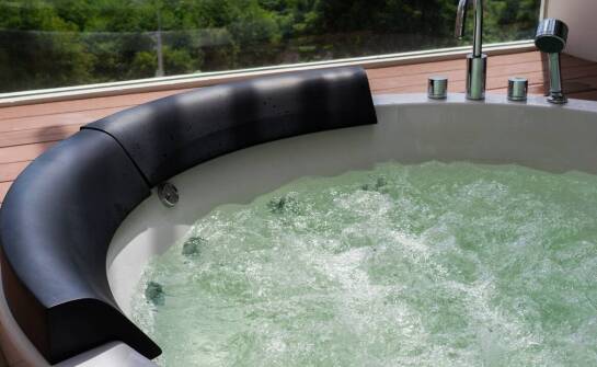 Zastosowanie ergonomicznych rozwiązań w projektowaniu sterowników do wanien z hydromasażem.