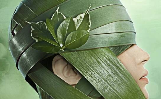 Tuba PCV a jej wpływ na rozwój zrównoważony