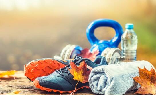 Pyłek pszczeli w diecie sportowców – naturalne wsparcie dla energii