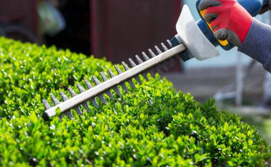 Wynajem ogrodowej podkaszarki na jeden dzień – jakie są korzyści?