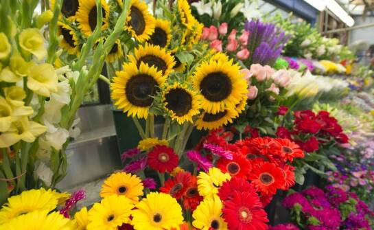 Jak obwoluta na pudełku wspiera promocję sezonowych produktów?