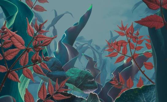 Tropikalne liście na plakatach – wprowadź egzotyczny klimat do swojego domu