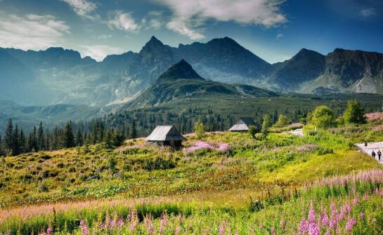 Wpływ ludowej kultury na wiejskiego pejzażu rysunki