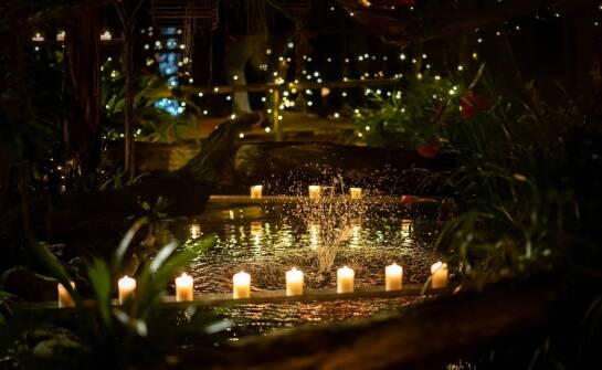 Jakie właściwości posiadają podgrzewacze z naturalnego wosku pszczelego?