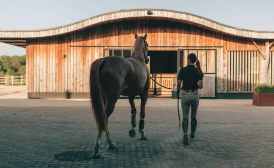Zastosowanie nowoczesnych technologii w pomieszczeniach do nauki jazdy konnej.