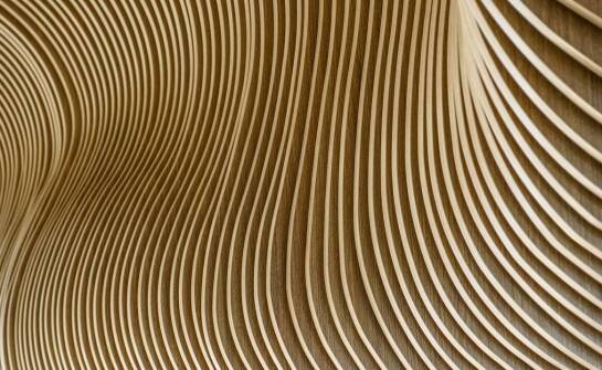 Drewniana płyta konstrukcyjna – kluczowy składnik zrównoważonych projektów architektonicznych