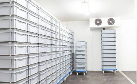 Jakie zasady magazynowania stosować dla spożywczych produktów?