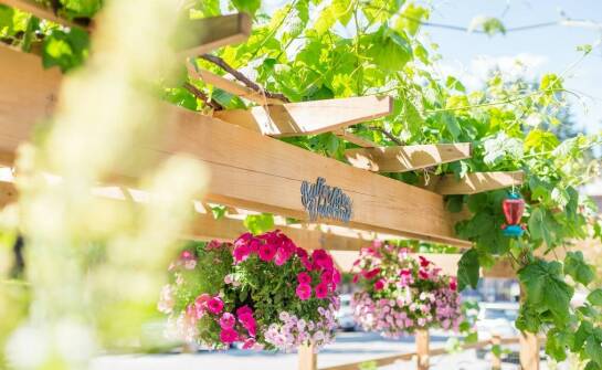 Komfortowe noclegi w pensjonacie Astoria w Krynicy – co warto wiedzieć?