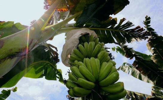 Kluczowe korzyści z posiadania energetycznych uprawnień G