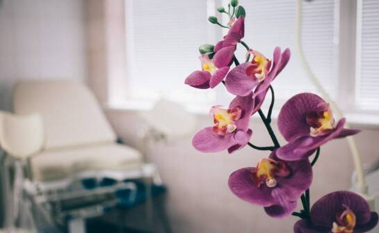 Jakie zabiegi oferuje gabinet estetycznej ginekologii dla poprawy intymnej estetyki?