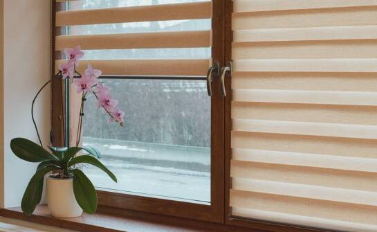 Kiedy warto zainwestować w plisy do pomieszczeń z dużą wilgotnością?