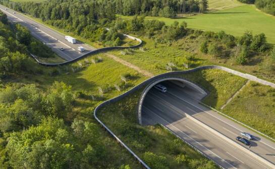 Mapa wiaduktów w Polsce: kluczowe znaczenie dla planowania tras